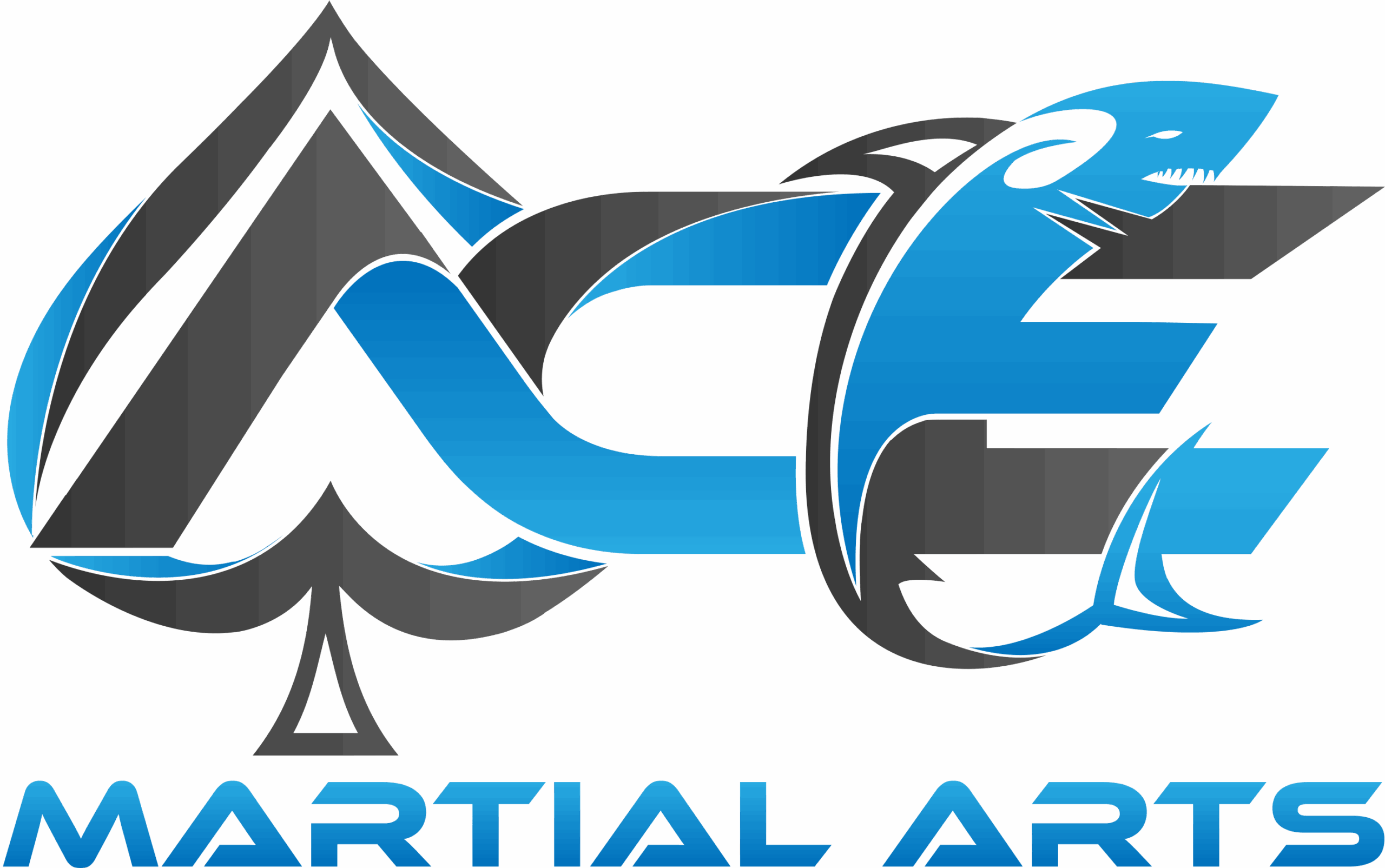 Ace Karate